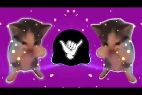DJ KICAU KICAU KICAU MANIA SLOW VIRAL TIKTOK FULL SONG MAMAN FVNDY 2026