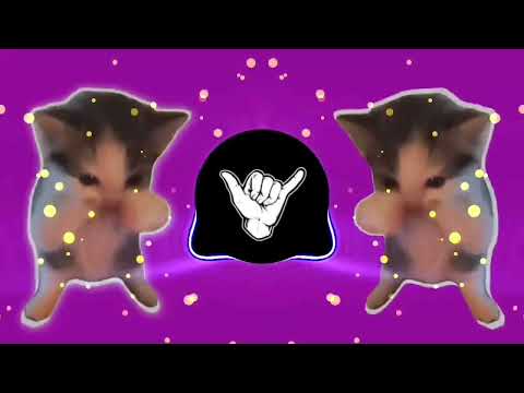 DJ KICAU KICAU KICAU MANIA SLOW VIRAL TIKTOK FULL SONG MAMAN FVNDY 2026