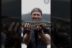 “fakta menarik ikan Gindara atau Ikan Setan atau Monster Night Fish yang ganas jika kena umpan”
