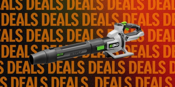 The Best Leaf Blower We’ve Tested Is Ready for Halloween