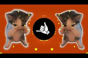 DJ KICAU KICAU KICAU MANIA SLOW VIRAL TIKTOK FULL SONG MAMAN FVNDY 2026