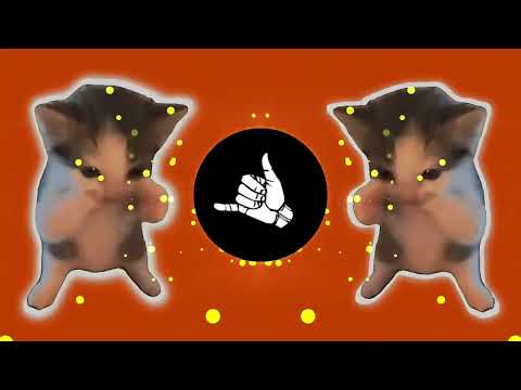 DJ KICAU KICAU KICAU MANIA SLOW VIRAL TIKTOK FULL SONG MAMAN FVNDY 2026