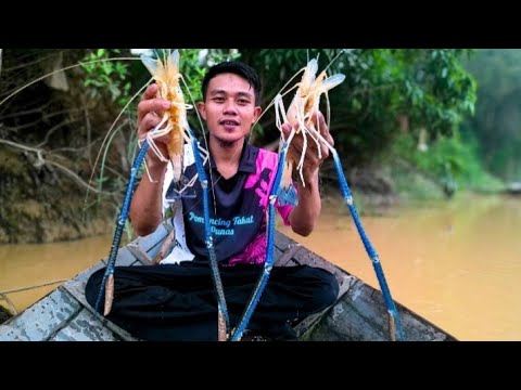 BERHASIL MENDAPATKAN UDANG GALAH BESAR SAAT MANCING DI AIR YANG KERUH // MANCING UDANG GALAH #viral